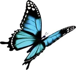 4x Robijn Klein & Krachtig Wasmiddel Black Velvet 1,19 Liter 19 4x Robijn Klein & Krachtig Wasmiddel Black Velvet 1,19 Liter -Wasbenodigdheden Winkel 1200x1118 1