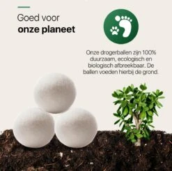 Tenify 6 XL Drogerballen + Extra Lavendel Olie - Wasbollen - Duurzaam - Schaapswol - Wasverzachter - Wasdrogerballen - Herbruikbare Droogballen - Energie Besparen -Wasbenodigdheden Winkel 1200x1188 31