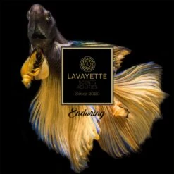 Lavayette Premium Wasparfum - Proefpakket 9x25ml - Geurbooster -Wasbenodigdheden Winkel 1200x1200 1229