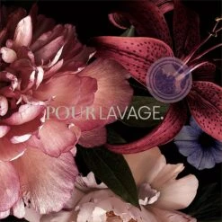 Lavayette Premium Wasparfum - Jasmin Shades - Geurbooster 500ml (Diamante) -Wasbenodigdheden Winkel 1200x1200 1285