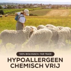 Drogerballen - Droogballen - Wasdrogerballen - Dryerballs - 6 Stuks - XL Formaat - Wol - Set -Wasbenodigdheden Winkel 1200x1200 1504