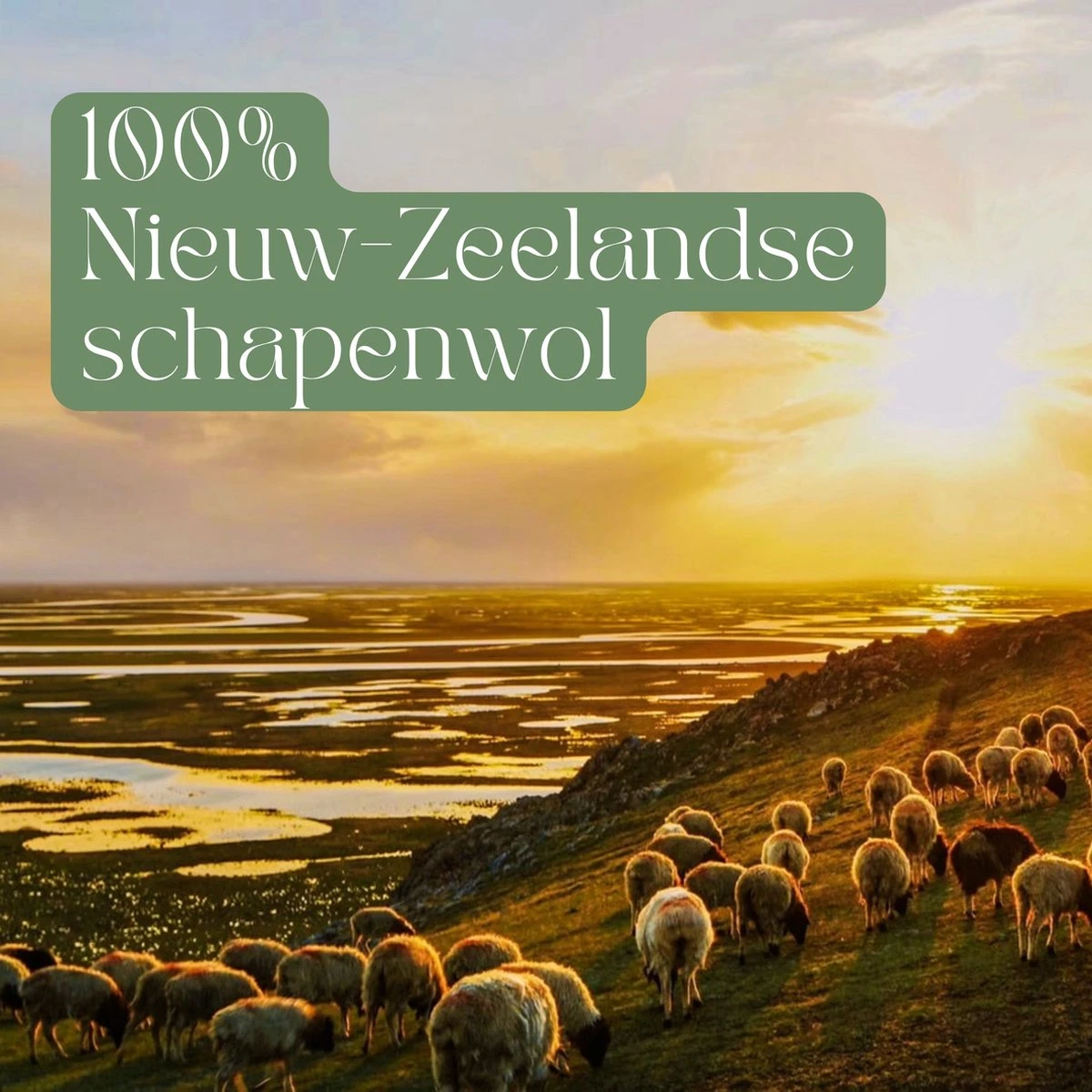 Miki's Goods® XL Wollen Drogerballen 6 Stuks - Panda Wasballen - Duurzaam - Wasbol - 100% Nieuw-Zeelandse Schapenwol - Wasbollen - Herbruikbaar- Droogballen - Snellere Droogtijd - Zuigt Dierenharen Op 8 Miki's Goods® XL Wollen Drogerballen 6 Stuks - Panda Wasballen - Duurzaam - Wasbol - 100% Nieuw-Zeelandse Schapenwol - Wasbollen - Herbruikbaar- Droogballen - Snellere Droogtijd - Zuigt Dierenharen Op - Afbeelding 6