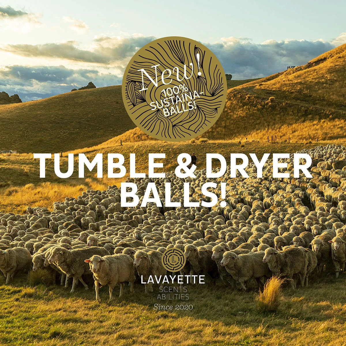 Lavayette XL Drogerballen Met 25ml Wasparfum - WasdrogerBallen – Droogballen – Wasbol – 100% Nieuw-Zeelands Schapenwol – Milieu- En Diervriendelijk – 6 Stuks 7 Lavayette XL Drogerballen Met 25ml Wasparfum - WasdrogerBallen – Droogballen – Wasbol – 100% Nieuw-Zeelands Schapenwol – Milieu- En Diervriendelijk – 6 Stuks - Afbeelding 5