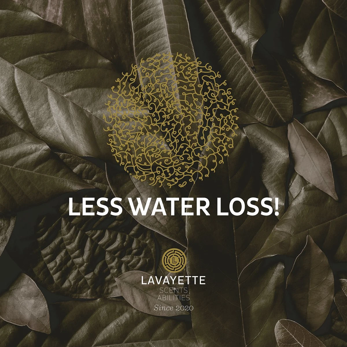 Lavayette XL Drogerballen Met 25ml Wasparfum - WasdrogerBallen – Droogballen – Wasbol – 100% Nieuw-Zeelands Schapenwol – Milieu- En Diervriendelijk – 6 Stuks 12 Lavayette XL Drogerballen Met 25ml Wasparfum - WasdrogerBallen – Droogballen – Wasbol – 100% Nieuw-Zeelands Schapenwol – Milieu- En Diervriendelijk – 6 Stuks - Afbeelding 10