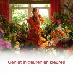 Robijn Klein & Krachtig Rosé Chique Vloeibaar Wasmiddel - 8 X 19 Wasbeurten - Voordeelverpakking -Wasbenodigdheden Winkel 1200x1200 479