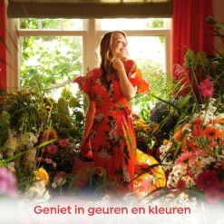 Robijn Klein & Krachtig Color Vloeibaar Wasmiddel - 8 X 20 Wasbeurten - Voordeelverpakking -Wasbenodigdheden Winkel 1200x1200 780