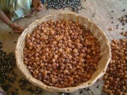 Wasnoten 750gr Met Waszakje - Zeepnoten - Natuurlijk Wassen 14 Wasnoten 750gr Met Waszakje - Zeepnoten - Natuurlijk Wassen -Wasbenodigdheden Winkel 1200x900