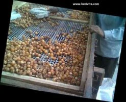 Wasnoten 750gr Met Waszakje - Zeepnoten - Natuurlijk Wassen 15 Wasnoten 750gr Met Waszakje - Zeepnoten - Natuurlijk Wassen -Wasbenodigdheden Winkel 1200x973 1