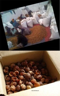 Wasnoten Start 150gr Met Waszakje - Zeepnoten - Natuurlijk Wassen -Wasbenodigdheden Winkel 755x1200 1